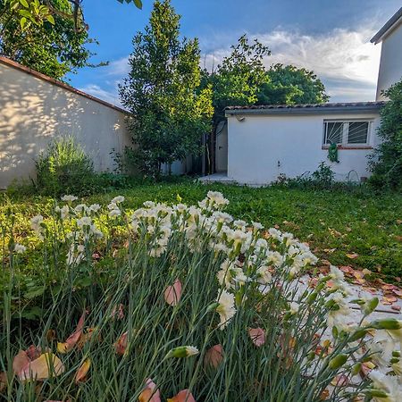 La Maison Calme Et Lumineuse Avec Jardin تولوز المظهر الخارجي الصورة